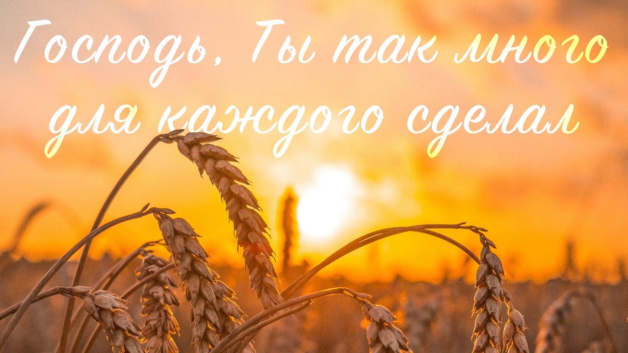 Господь, Ты так много для каждого сделал – Добрая весть