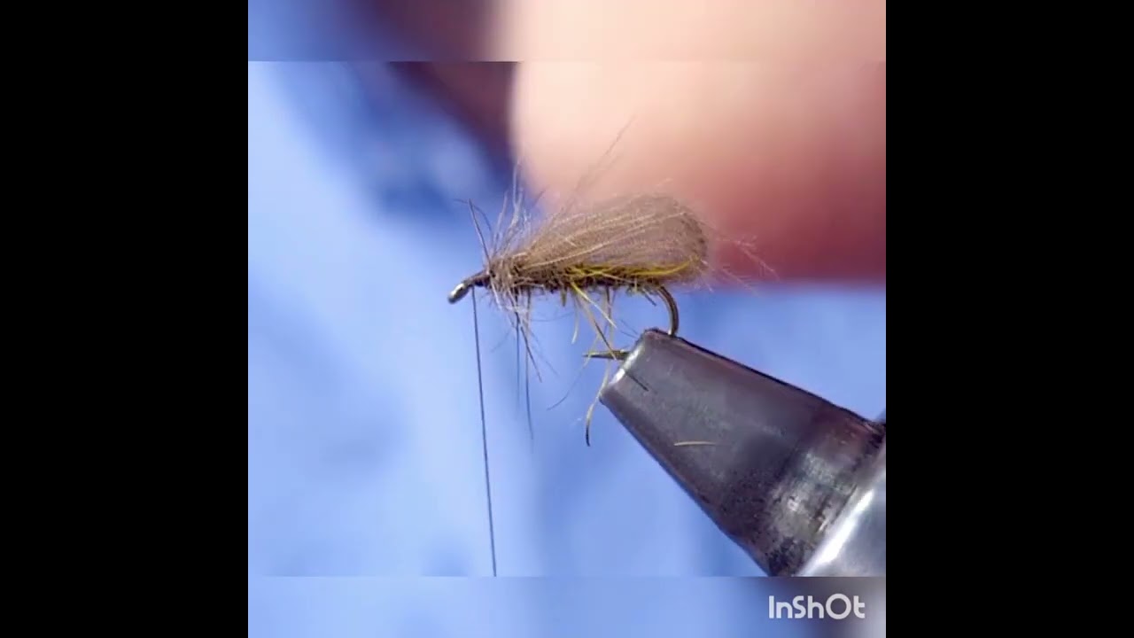 Montage d'un Bubble Sedge par Cyril Bailly