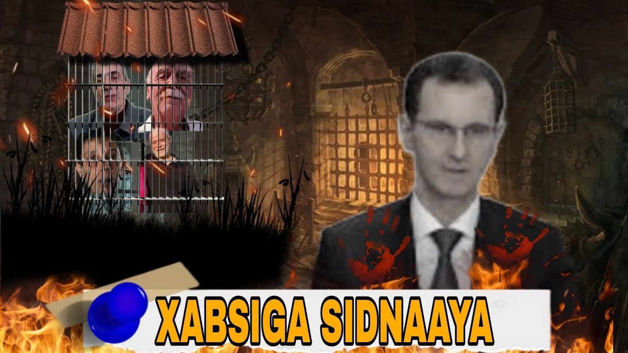 Xabsiga Sidanaayaa|| Maazin Xamaada Lama jeer ayuu geeriyooday|| Sheekooyinka Dhibanayaasha Bashaar.