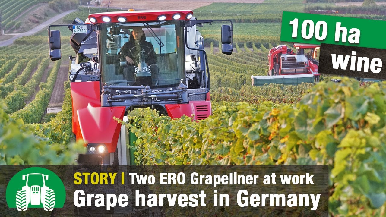 Kitzer Estate Winery (ERO harvesters and Fendt tractors | Grape Harvest | Wine Growing | Part 2 )