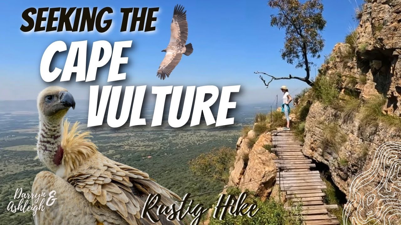 The Rustig Hike | Magaliesberg biosphere reserve
