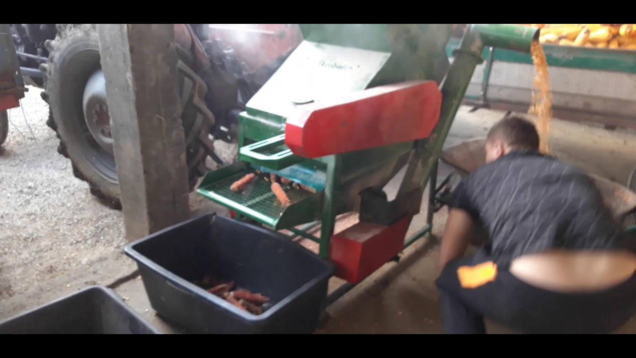 Krunjac kukuruza 2021 Škroban