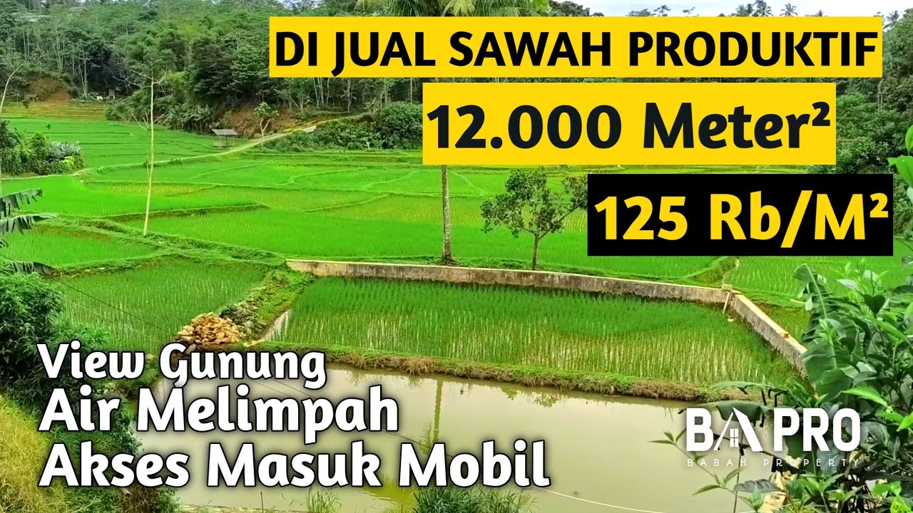 DI JUAL SAWAH SUBUR DAN PRODUKTIF 12.000 M² AIR MELIMPAH