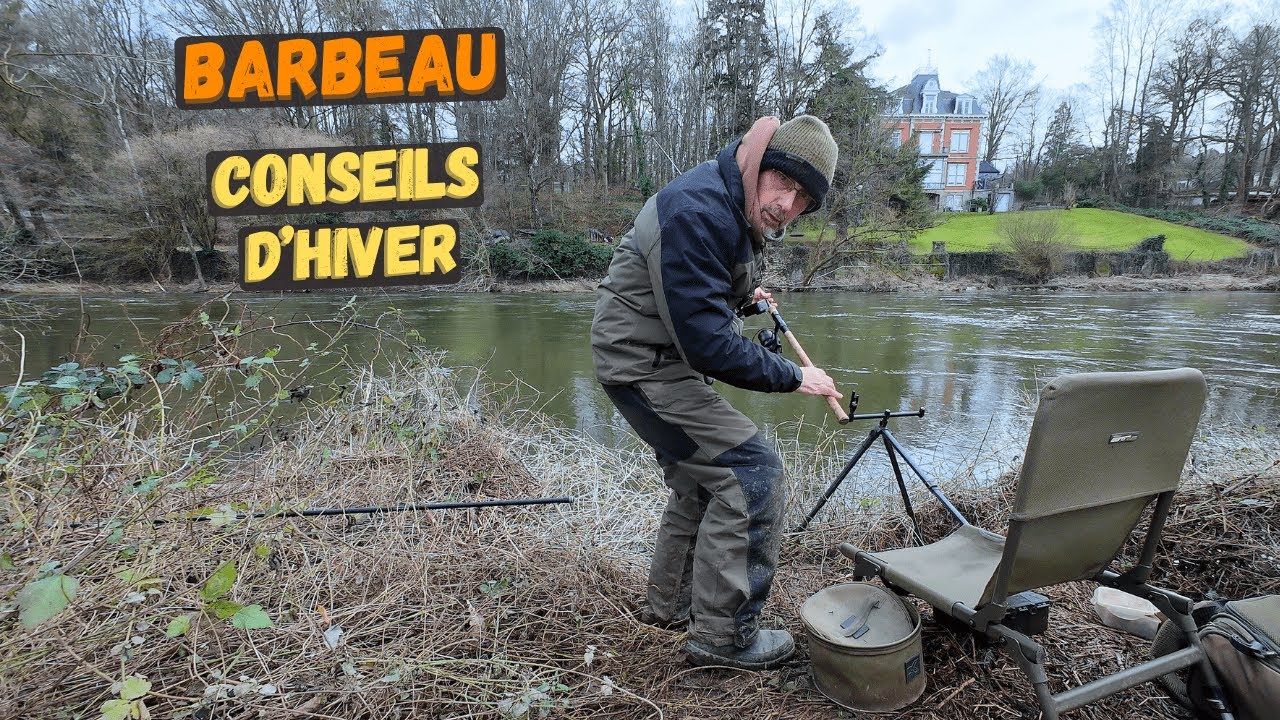 Conseils divers pour barbeau d'hiver au feeder