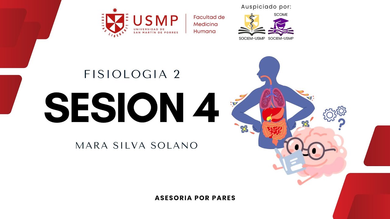 Fisiología II - Sesión 4 - Neumofisiología 1 - Mara Silva - 2026-0