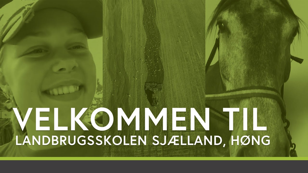 Velkommen til Landbrugsskolen Sjælland, Høng