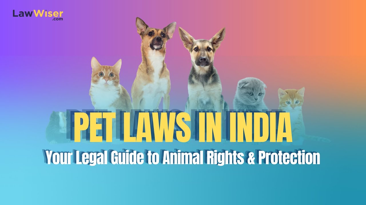 Pet Laws in India: Your Legal Guide to Animal Rights & Protection | LawWiser