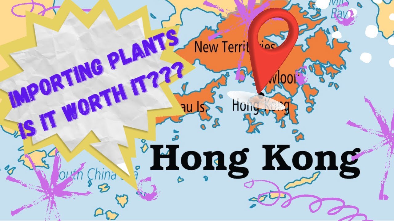 How To Import Plants/Importing Houseplants/Importing Plants/ My Home Nature Review