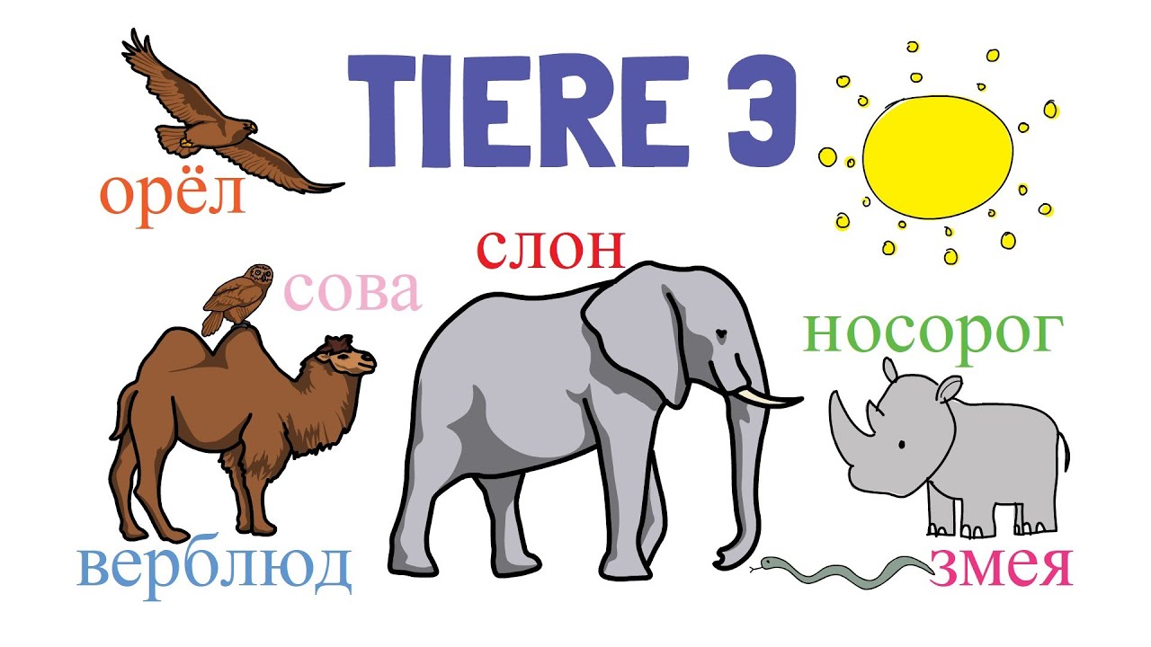 Tiere 3 - Russisch in Eselsbrücken