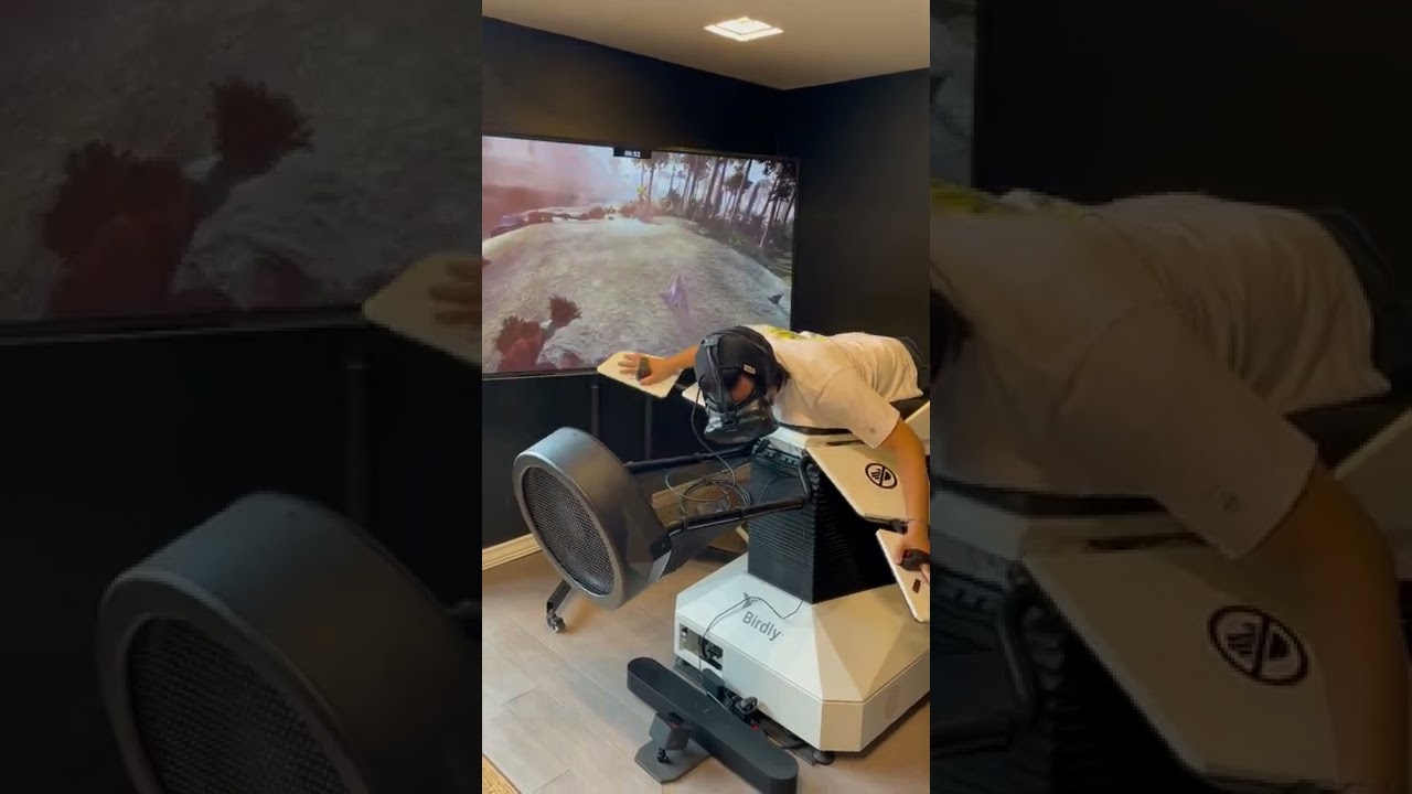 Zack's Got Your Back - VR Flight Simulator #shorts #vr #newtech