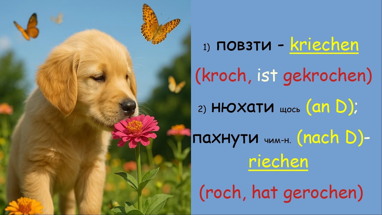 Римовані неправильні німецькі дієслова 2 частина
