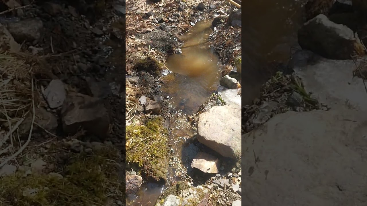 vermont brook, you never know what you will find.#gold #goldmining #mining #prospector