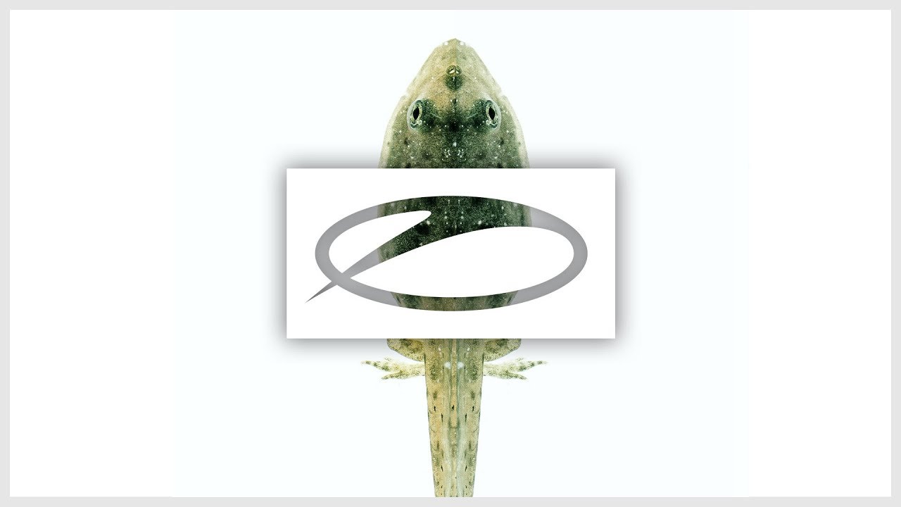 Protoculture - Pale Blue Dot