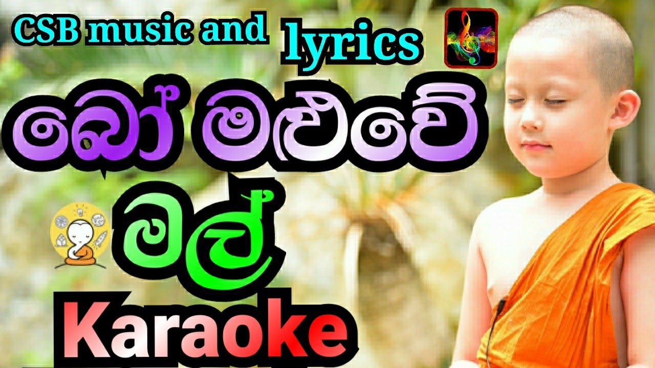 Bo Maluwe Mal Karaoke(Without Voice)|බෝ මළුවේ මල් Karaoke|CSB Music And Lyrics|Sanath Nandasiri