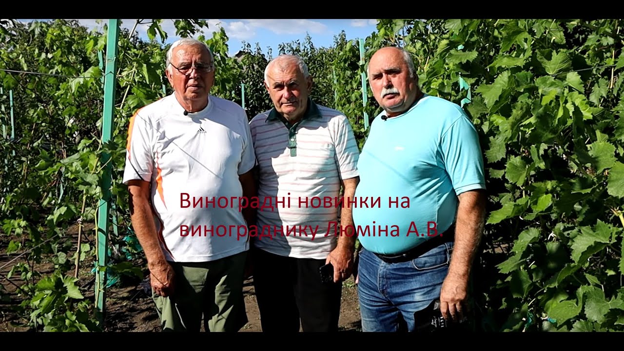 #154 В гостях у Люміна Анатолія Васильовича (12.08.2025)