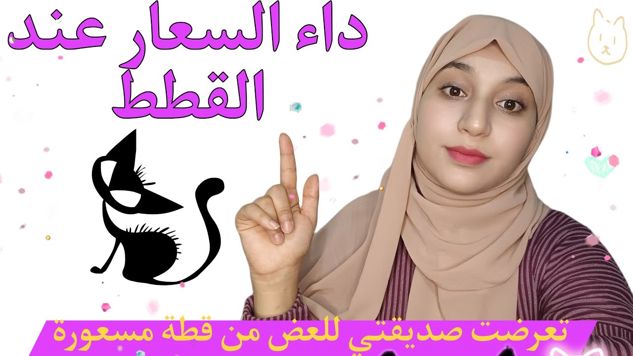 جميع المعلومات عن سعار القطط😺 كيف تعرضت صديقتي للعض من قطة بها سعار😥