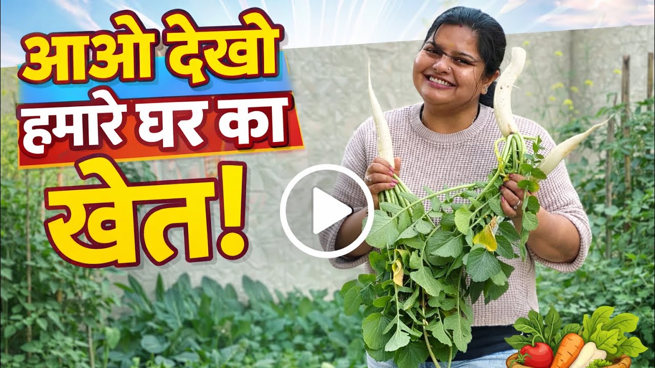 Mere Ghar Ki Kheti 🌱 | Kitchen Garden Me Kya Kya Ugta Hai? 😍 
