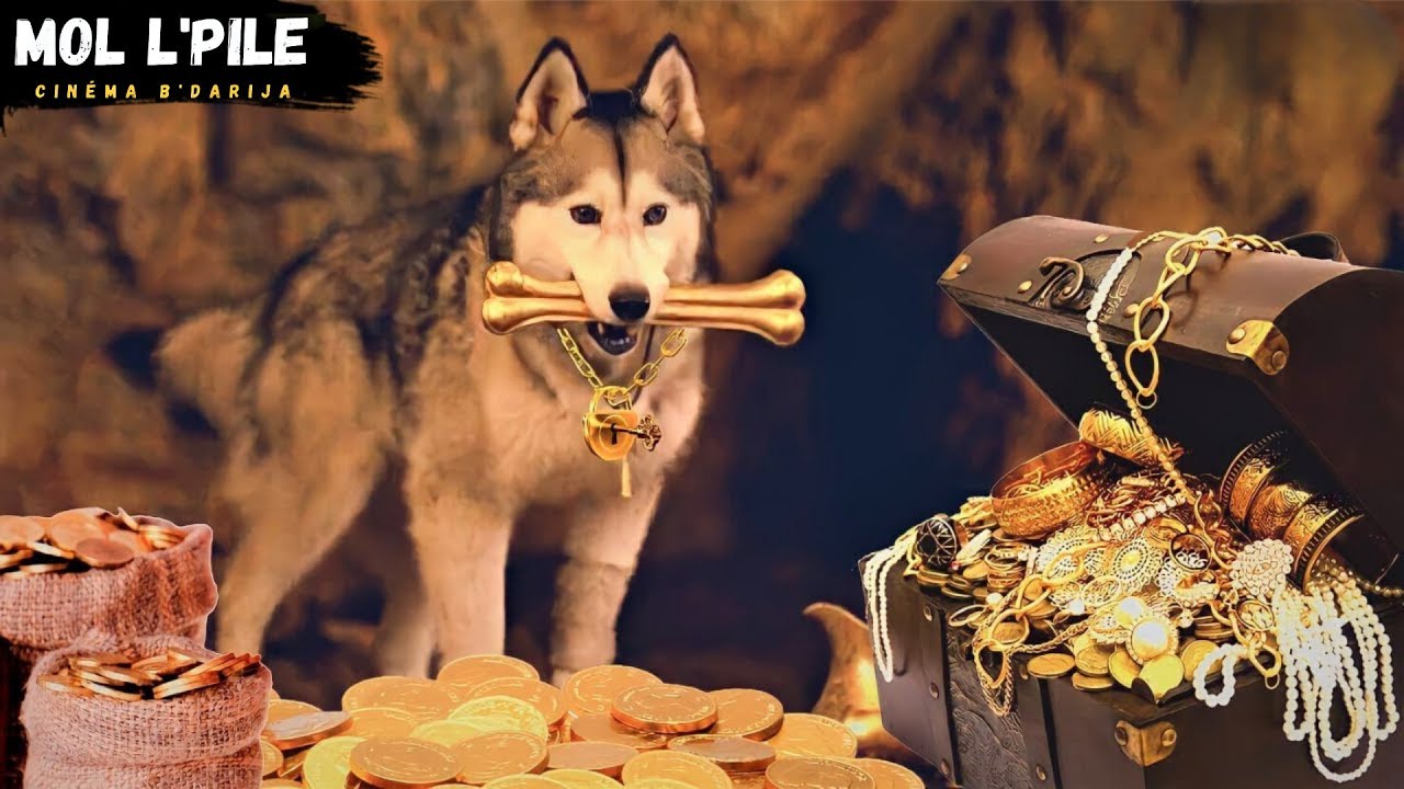 كلب مخلص وذكي يستطيع إيجاد كنز من الذهب💰مفقود لسنين طويلة😨فينقد أصدقائه من الديون♥️||ملخص 🎦 𝐓𝐢𝐦𝐛𝐞𝐫