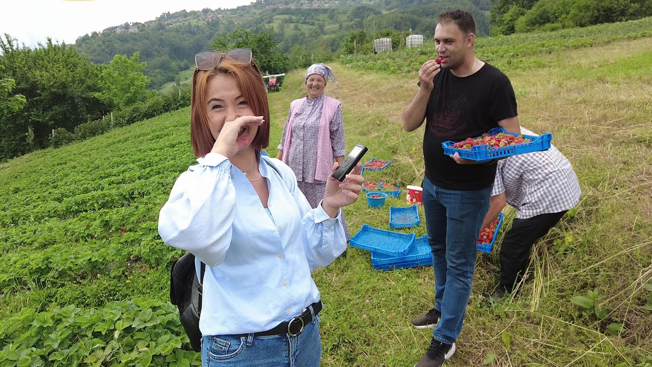 URNEBESNO! Otišli grlom u jagode, a tamo ih dočekala radna odijela!