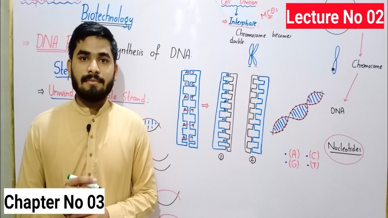 DNA Replication Class 8 In Urdu Hindi By Haider Ali || Lec# No 02 || Chap#0 No 03 | Science Class 08