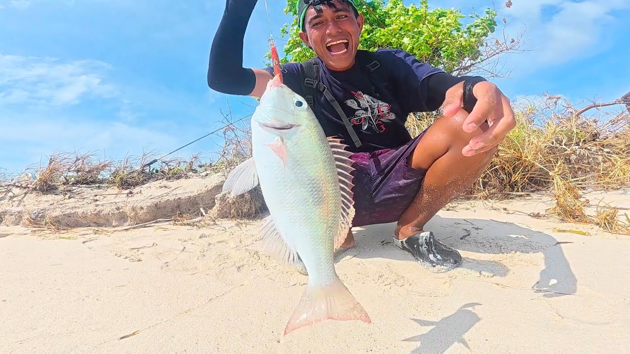Ang Ganda Ng beach ! Madaming Isda