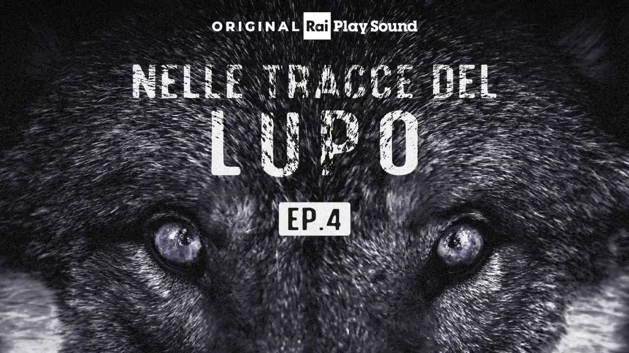 Nelle tracce del lupo Ep.04: Slavc va in Lessinia