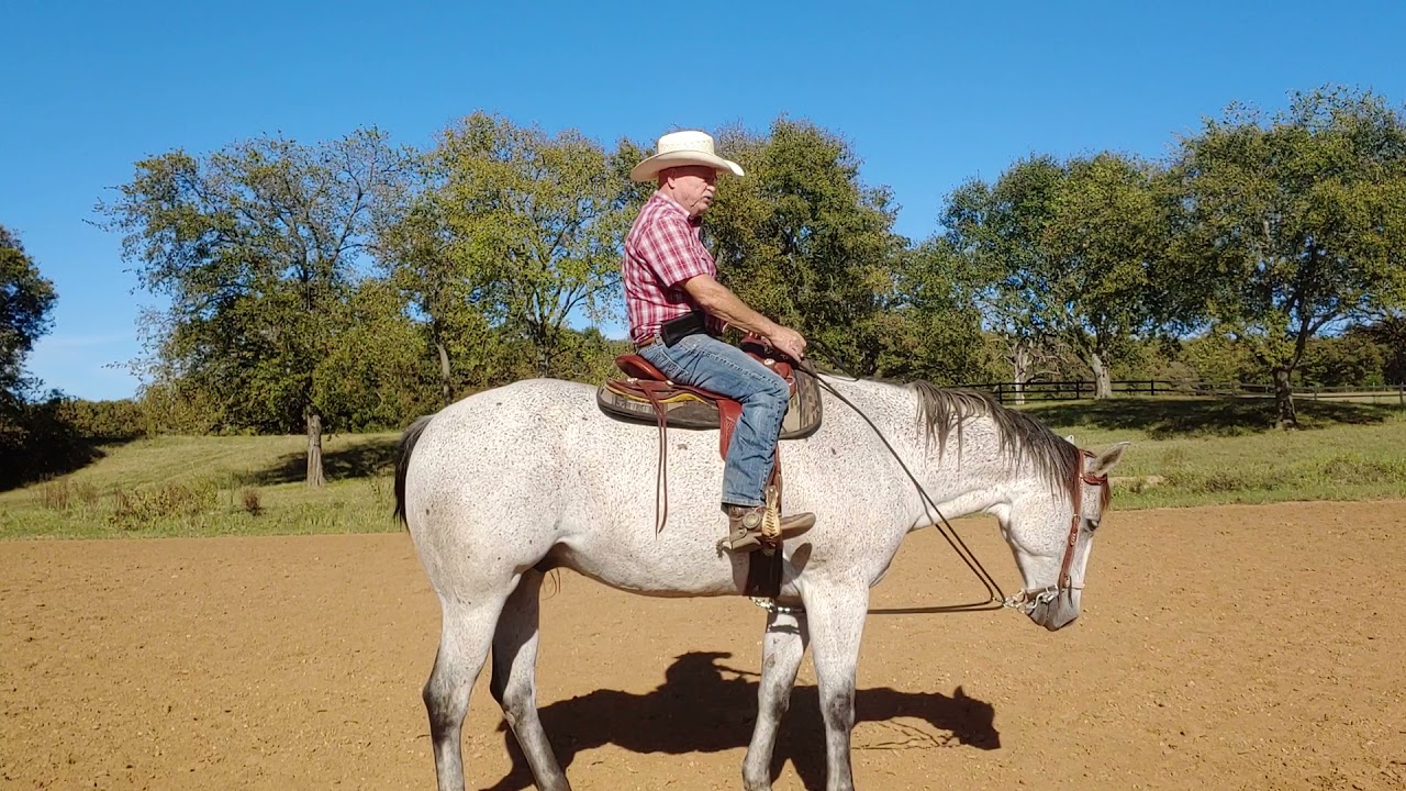 Draw Reins explained