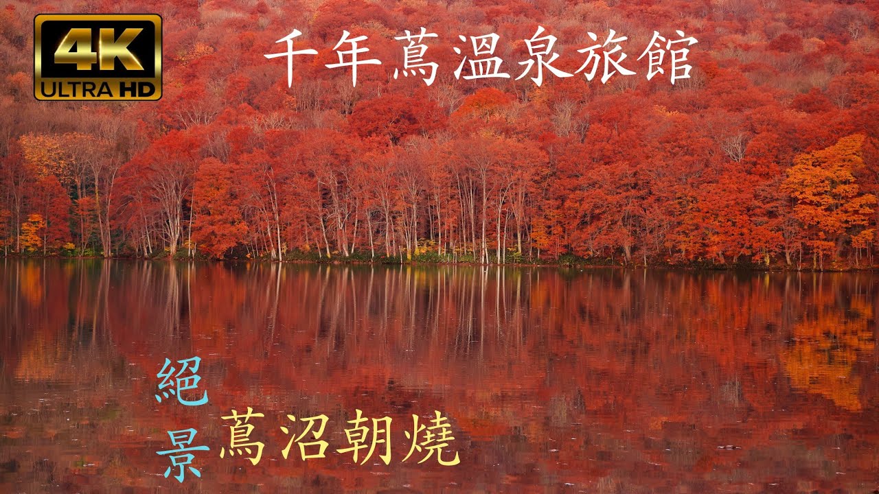 🍁千年蔦溫泉旅館＆東日本絕景：蔦沼朝燒🔥（前往注意：限定日子時間要提早預約）這個旅程的主要目的地，❗️&ldquo;人生必到絕景&rdquo;