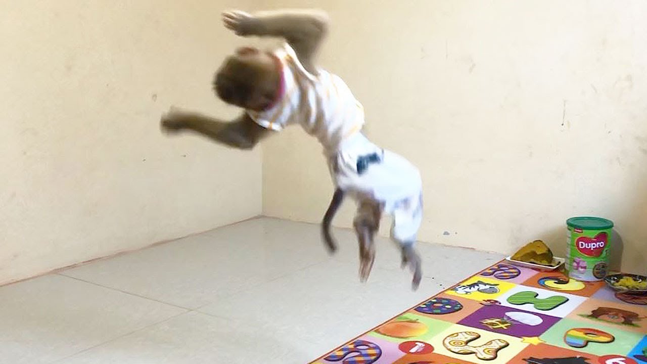 Smart Jason Practice Martial Arts Floating When Mom Counting