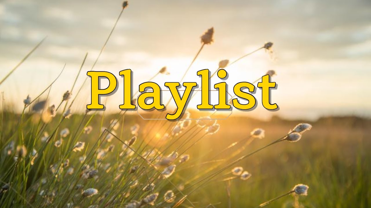 [Playlist] 70 Minutes of Pure Healing 🌿 Lofi & Chill Beats for Study, Focus, Sleep | Soul Space Vibe