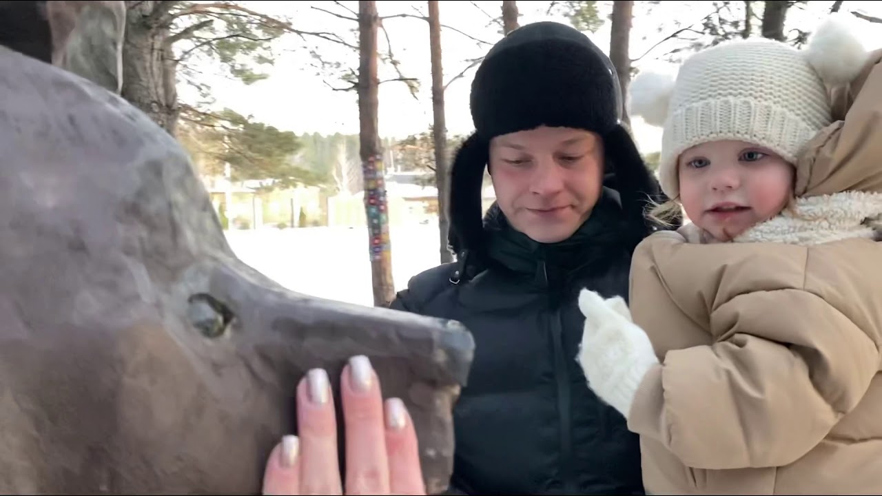 Нелжа,Усадьба Деда Мороза, прогулка по парку,Дед Мороз, дети,зимние прогулки с детьми, зима в России