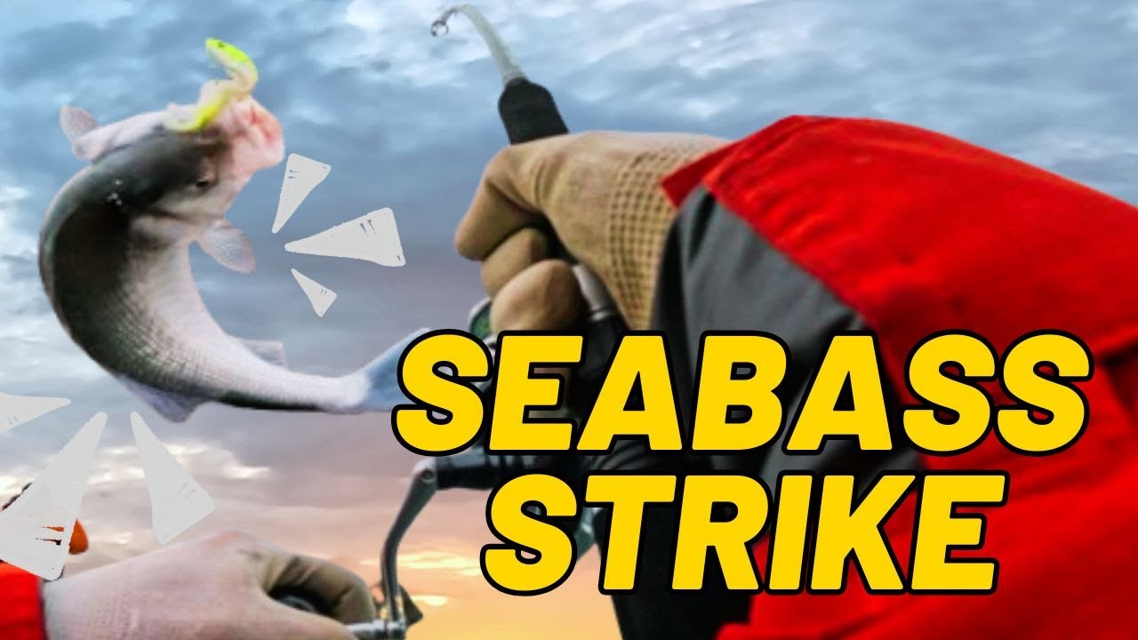 The Samson Lures That Changed Sea Bass Fishing Forever