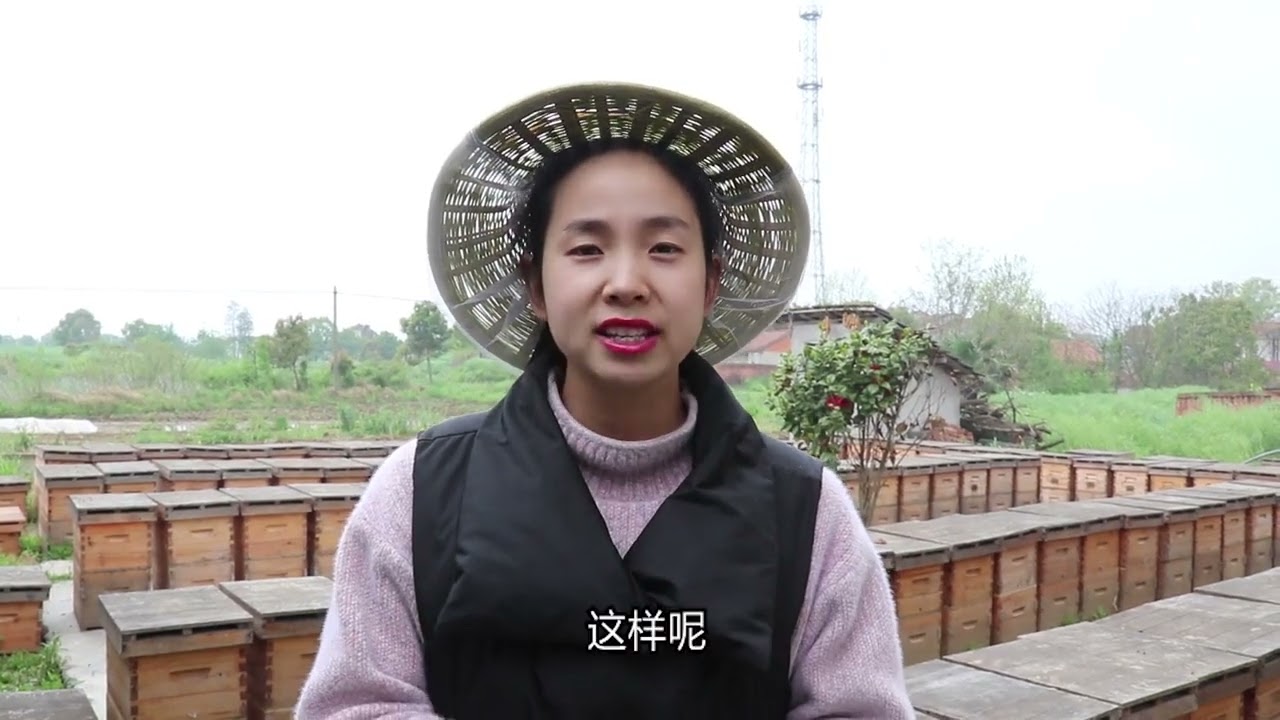 菜场、路边的石头蜂蜜，你见过吗？可别再被骗啦，真正蜂农来揭露 #知识  #涨知识