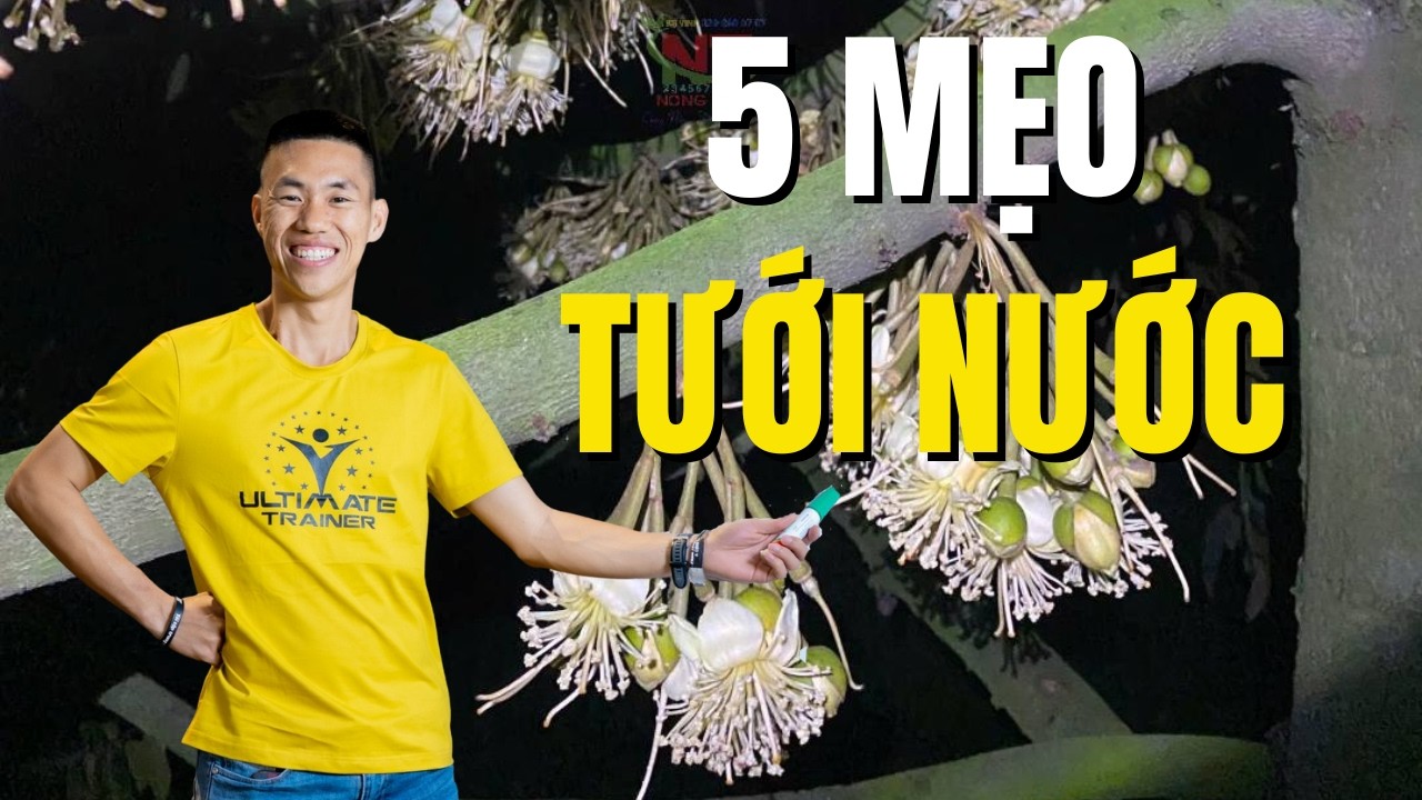 Tưới Nước Cho Sầu Riêng Giai Đoạn Xổ Nhuỵ KIỂU Gì Là TỐT NHẤT ? | Phạm Đức Thiện