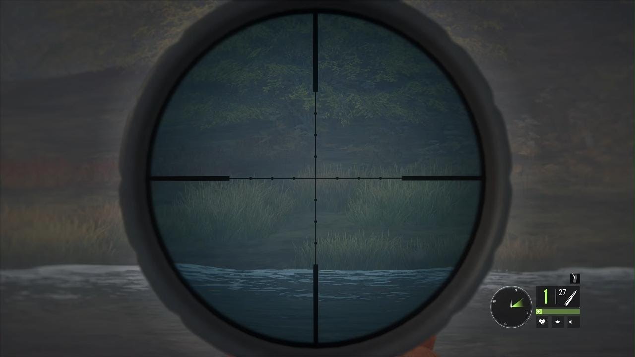 Come with me to hunt down a Whitetail deer ￼