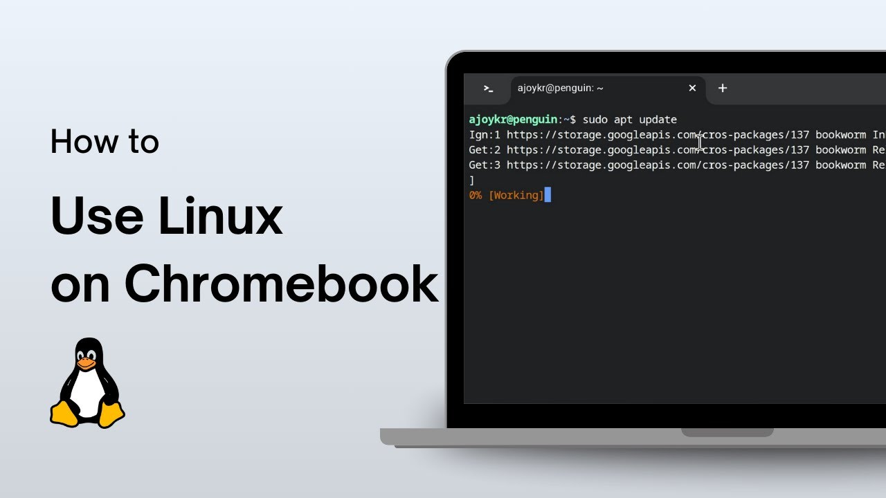 How to Use Linux on Chromebook