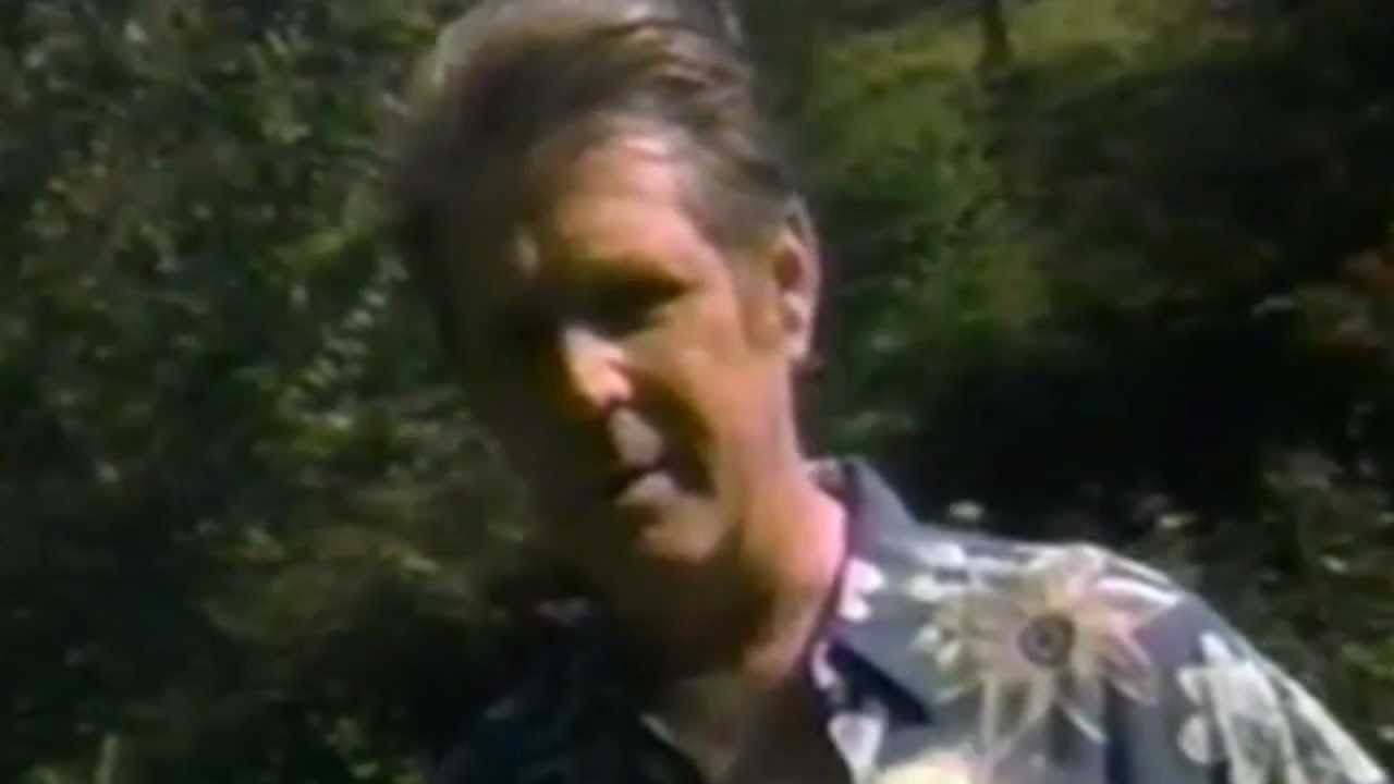 Endless Syncopation: The Rising Fall of The Beach Boys and The California Myth (intro)