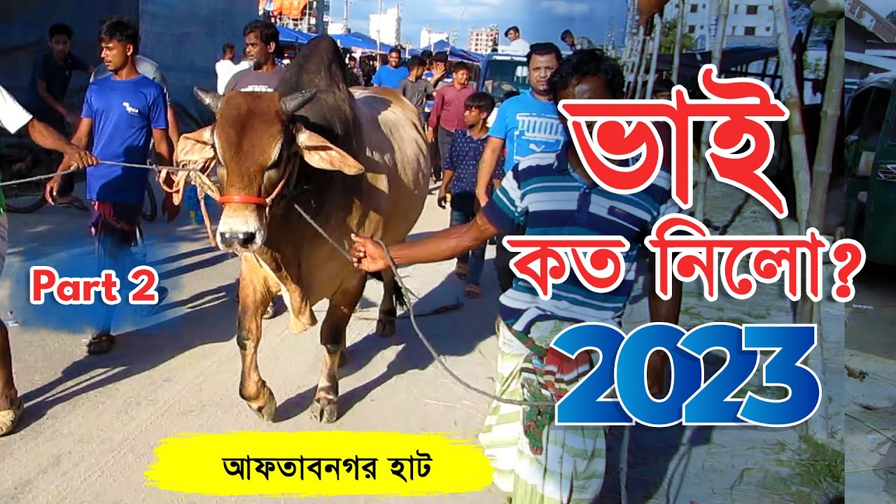 Bhai Koto Nilo? Aftabnogor Gorur Haat 2023 | Qurbani Cow Price 2023 | Cow Haat Updates | Part: 02