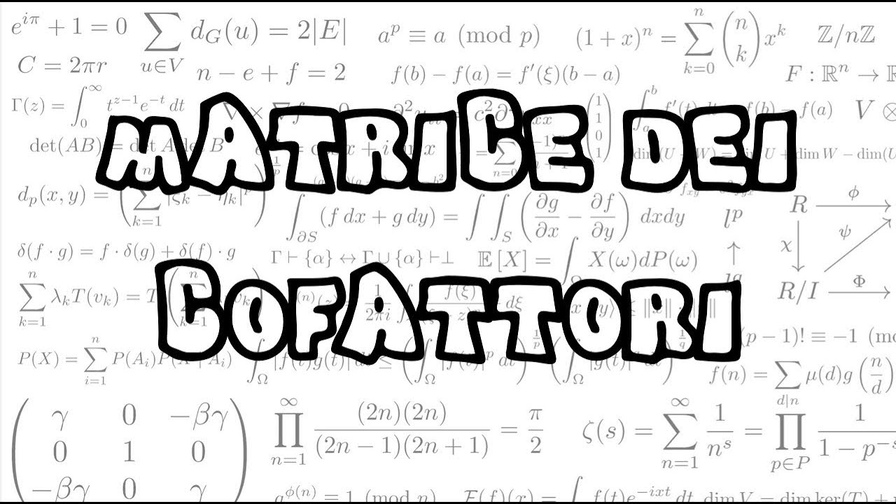 12) Matrice dei Cofattori, Matrice inversa