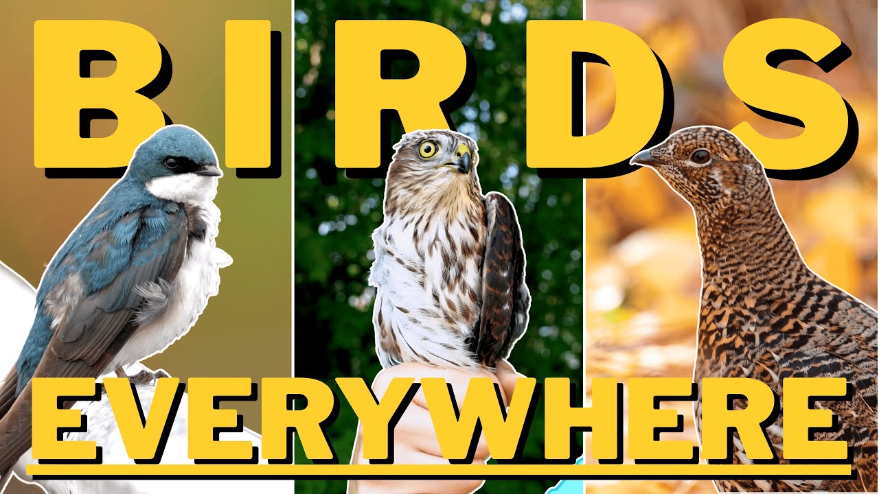 6 MONTHS of Living in a Provincial Park - Here's What I Saw