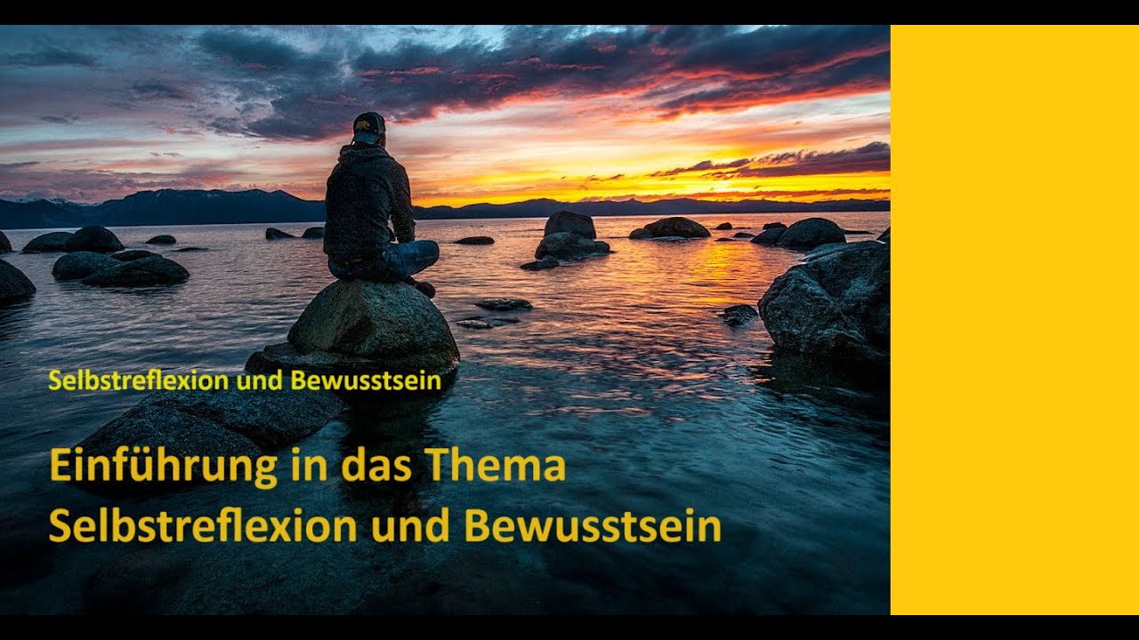 Einf&uuml;hrung in das Thema Selbstreflexion und Bewusstsein