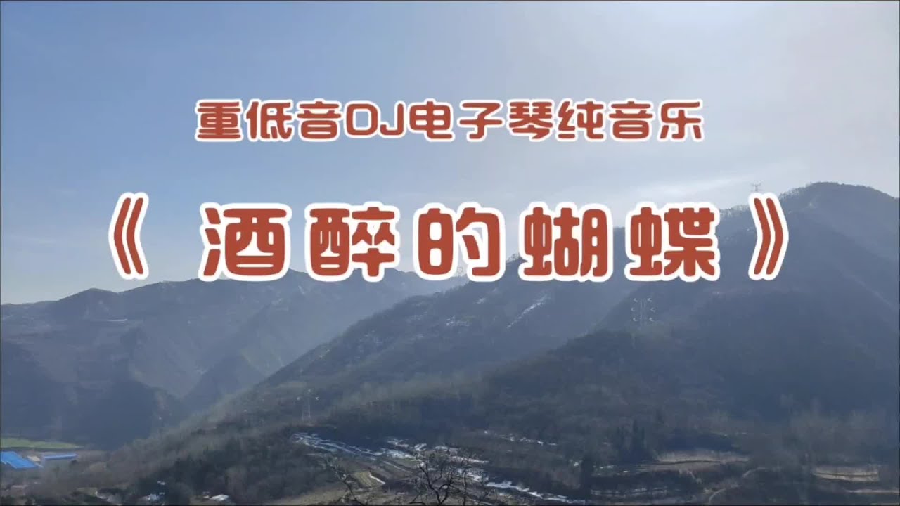 #重低音DJ电子琴纯音乐《酒醉的蝴蝶》，节奏强劲，动感十足非常好听！#重低音DJ电子琴#超重低音炮