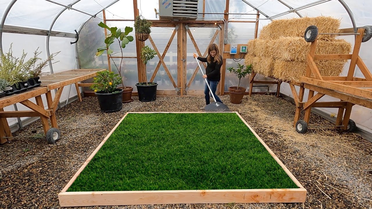 Planting a Lawn in the Greenhouse for the Kids! 🥰🌾💚 // Garden Answer