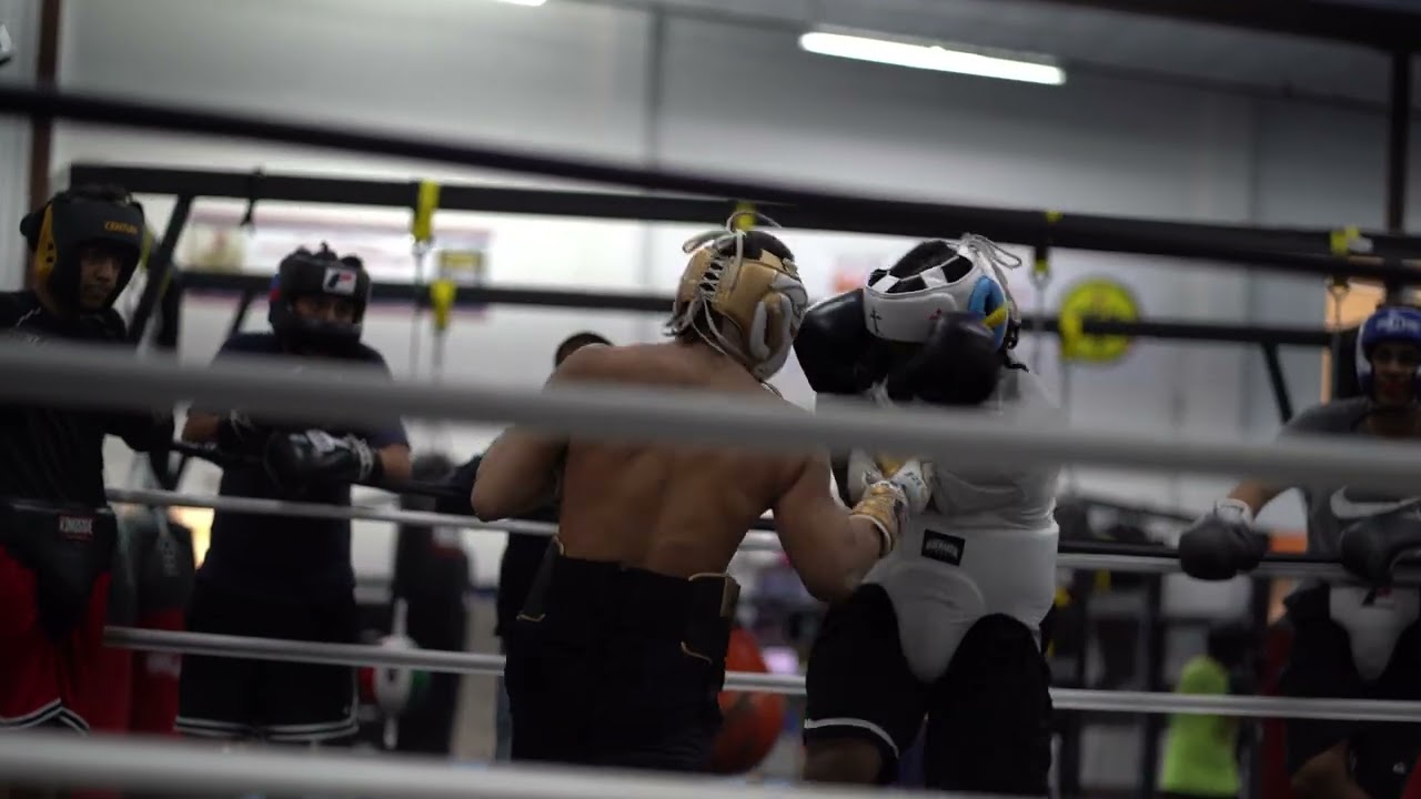 Blow for Blow 1: Jr Boxer vs Pressure | Spar Session