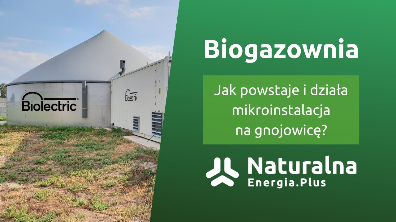 Jak powstaje i działa biogazownia rolnicza? Mikrobiogazownia Biolectric