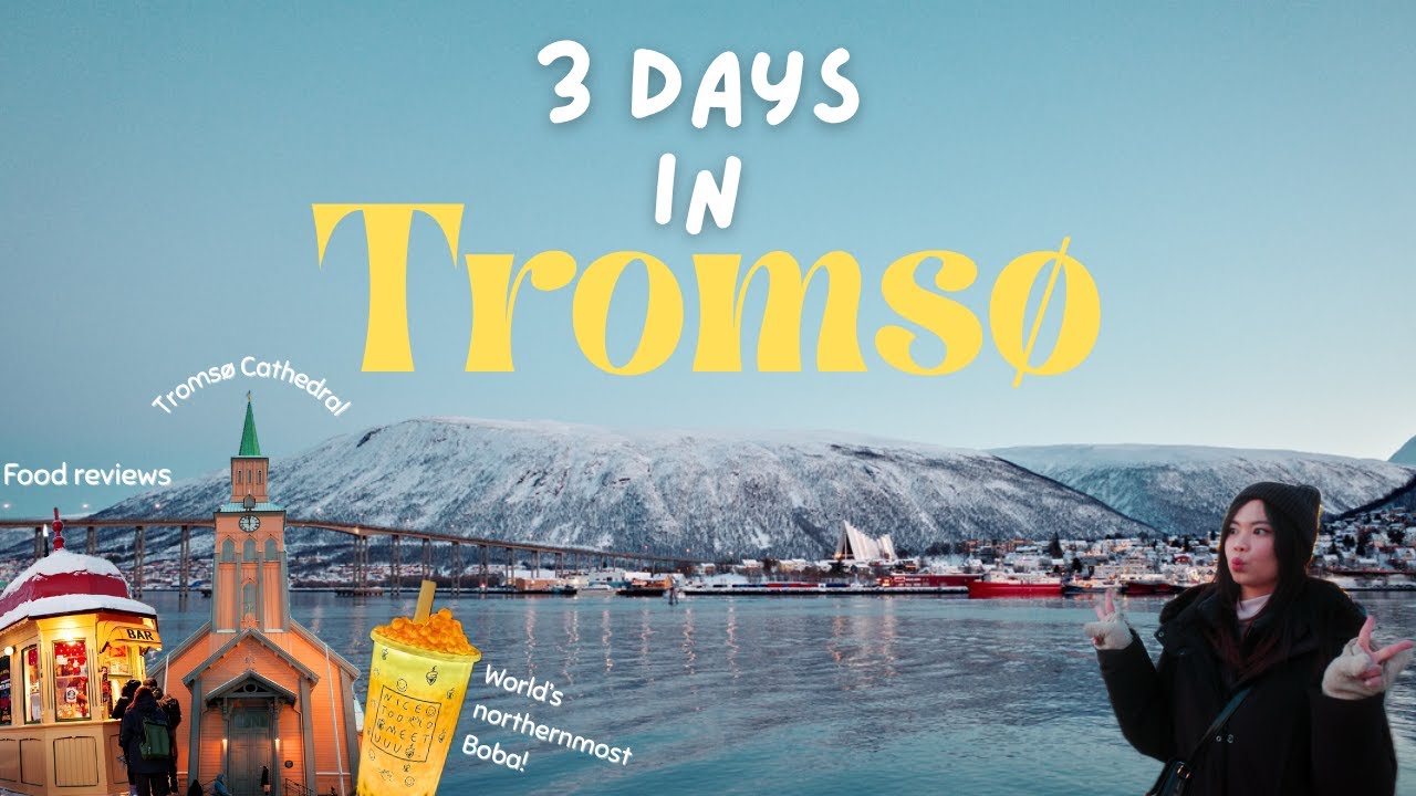 🇳🇴 Christmas in Tromso Vlog 🎄| Northern Lights Cruise, To-do, What's open, Food Reviews (& Boba!) 🧋