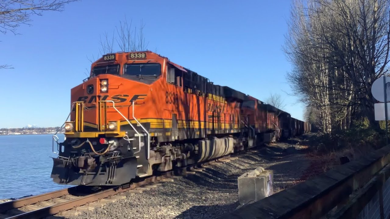 Bellingham Trains On March 1, 2026