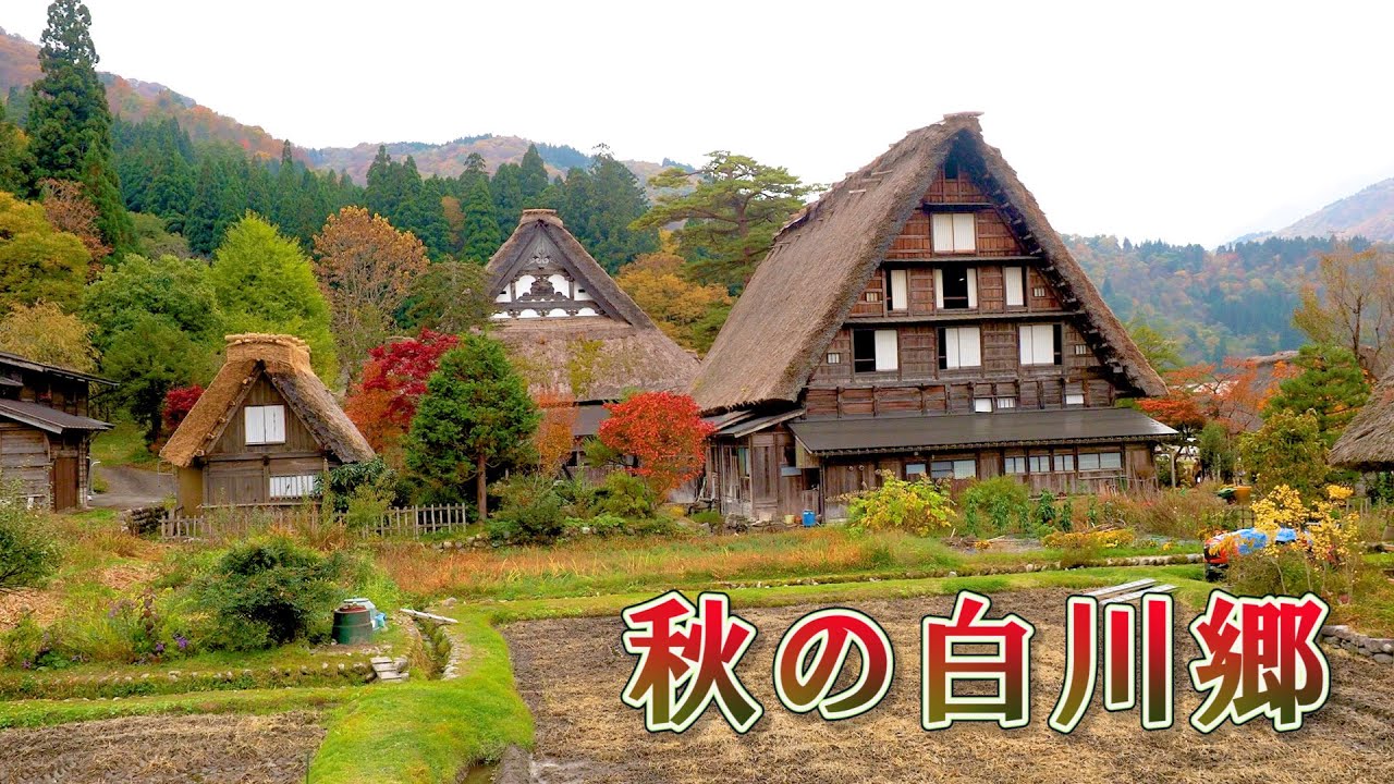 Autumn Colors in Shirakawa-go 2021. A World Heritage Site. #白川郷 #4K