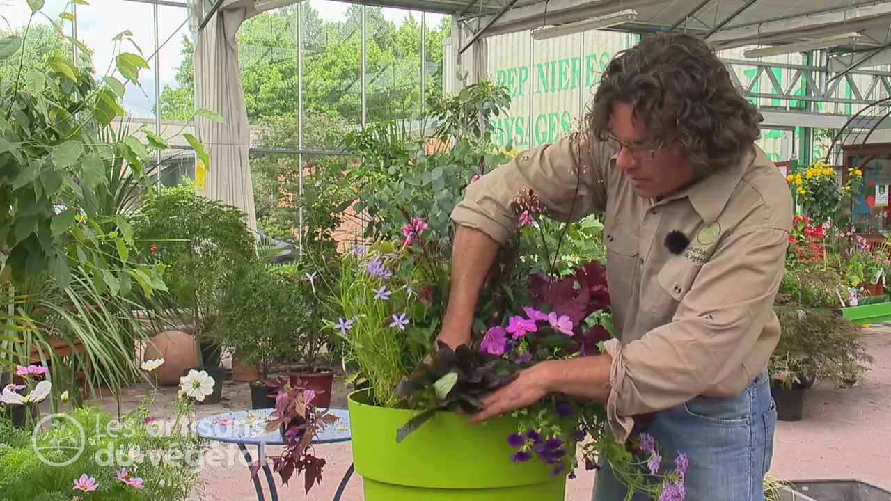 🌿 Astuces de pro pour de belles jardinières 🌼