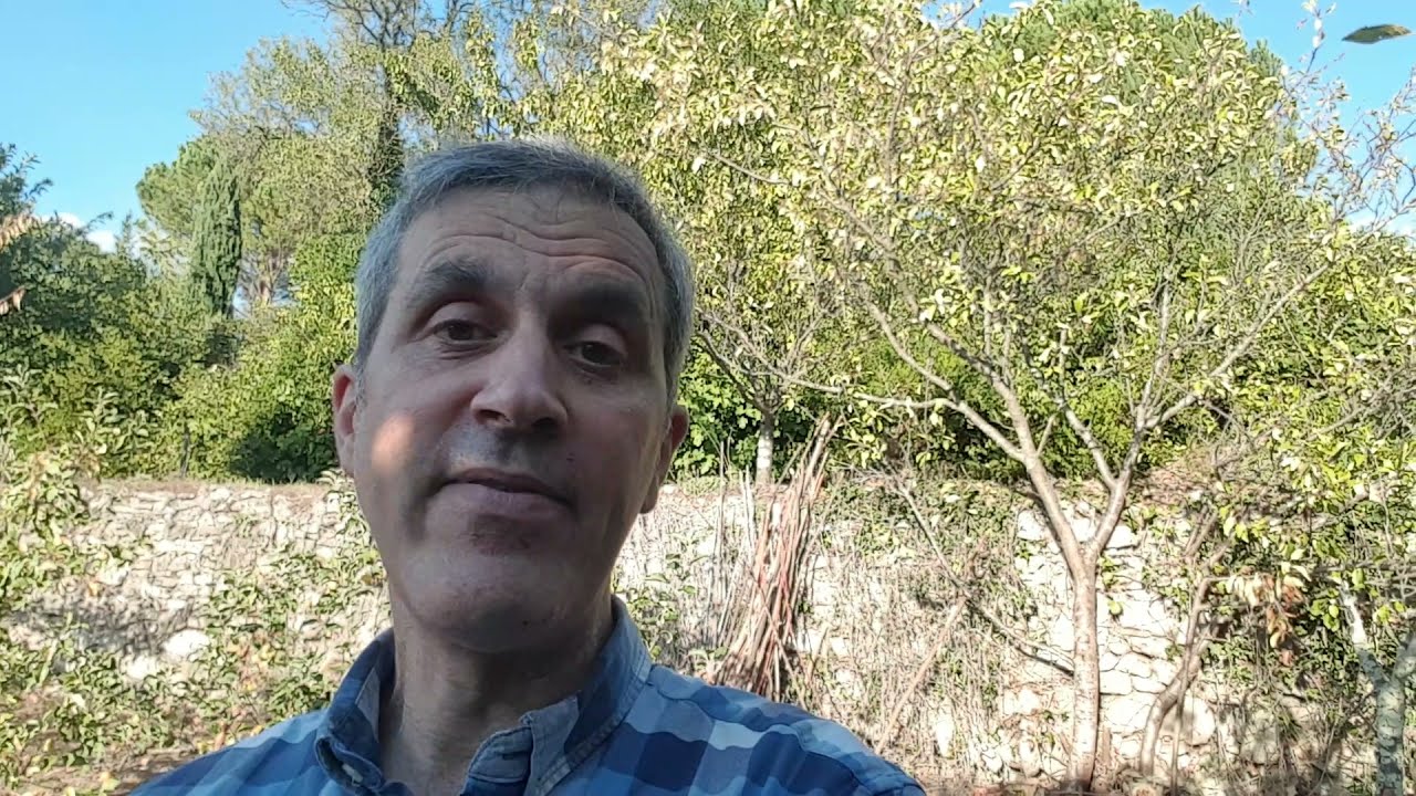 Pairagogie